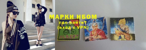 прущие грибы Абинск
