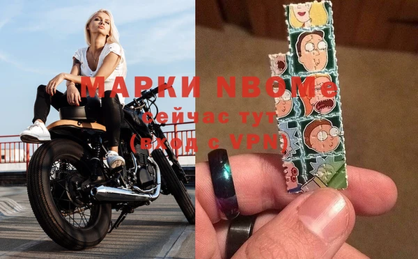 прущие грибы Абинск