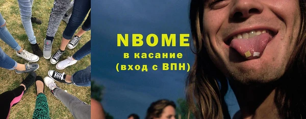 прущие грибы Абинск