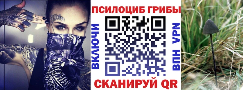 Галлюциногенные грибы мухоморы  Гусиноозёрск 